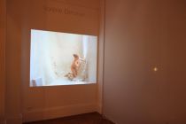 Valerie Delarue video-performance Sevres 2010.JPG